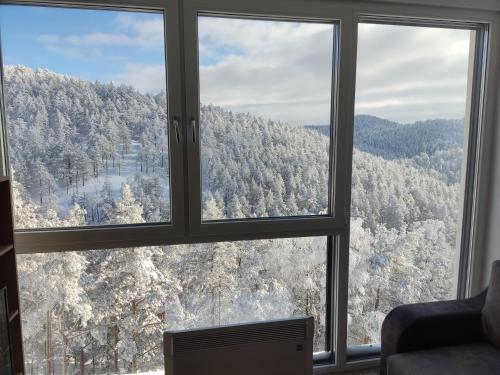 a window with a view of a snow covered mountain at Apartmani Jezero Divčibare in Divčibare