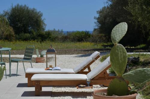 a patio with two lounge chairs and a cactus at LUCCICAMARE family-run BeB in Noto