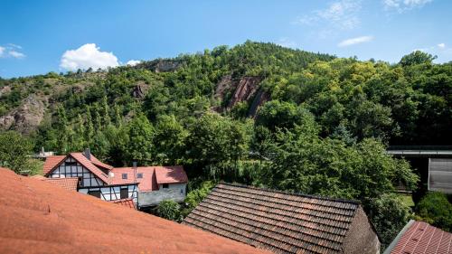 a view of a mountain with houses and trees at Hotel & Ferienwohnungen Bohlenblick in Saalfeld