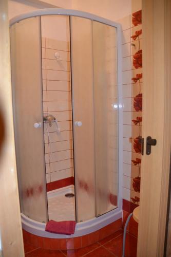 a shower with a glass door in a bathroom at Pension U akátu in Prague