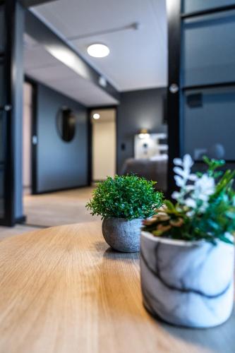 two potted plants sitting on a table in an office at Hotelli Sointu by UHANDA in Järvenpää