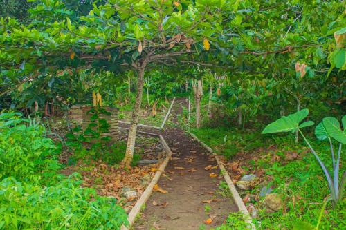 a path in the middle of a forest with trees at Eden Valley Ecolodge and Farming in Madalena