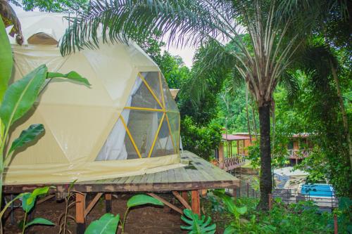 a tent sitting on a table in a garden at Eden Valley Ecolodge and Farming in Madalena