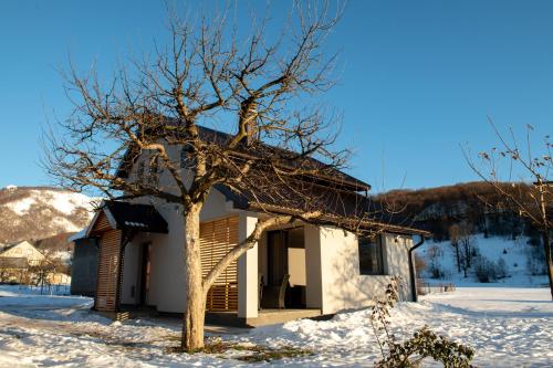 uma pequena casa com uma árvore na neve em House For Rest VIN em Kolašin