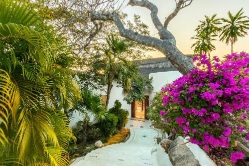 2090 - Villa Eugenio – Photos 2
