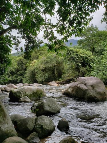 a stream of water with rocks and trees at Pousada Tekoá Indiana in Cachoeiras de Macacu