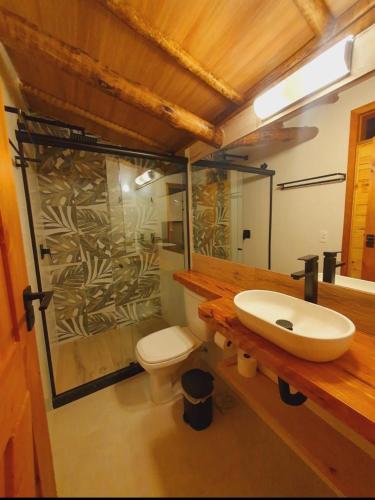 a bathroom with a sink and a toilet at Pousada Tekoá Indiana in Cachoeiras de Macacu