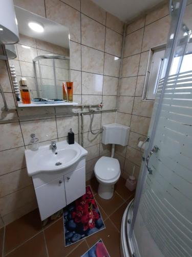 a bathroom with a toilet and a sink and a shower at Deda Simina vikendica in Pale