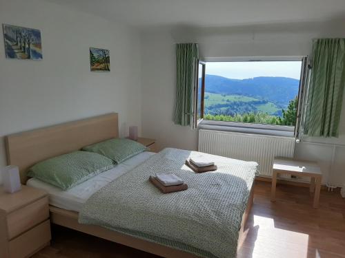 Ένα ή περισσότερα κρεβάτια σε δωμάτιο στο Naproti Klínovci