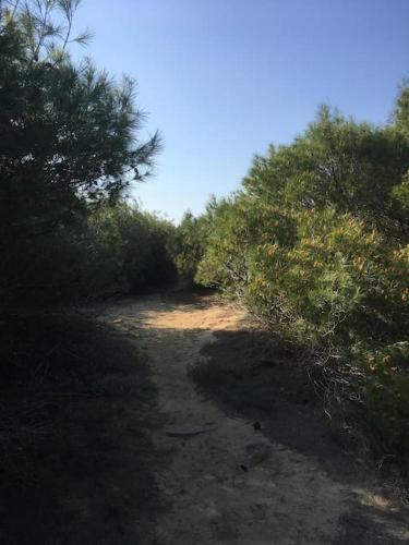 Φυσικό τοπίο κοντά σε αυτή η βίλα