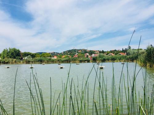 Naturlandschaft in der Nähe des Bed & Breakfasts