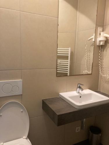 a bathroom with a sink and a toilet and a mirror at Tiny Twix room in the City centre in Ljubljana