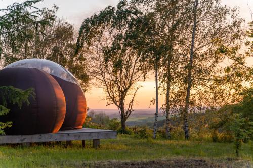 a large barrel sitting on a table in a field at CellSphair in Houyet