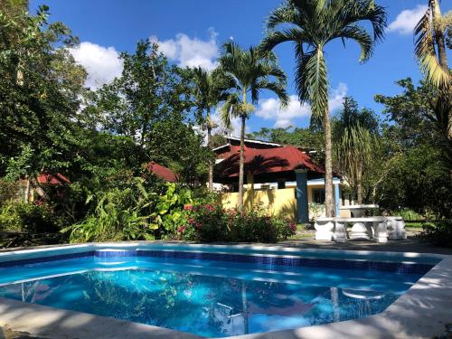 una piscina frente a una casa con palmeras en Acogedora Casa Rural en plena naturaleza frente al Río con piscina Bonao en Bonao