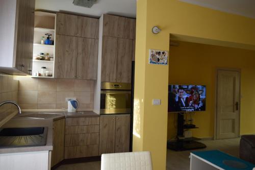 TV a/nebo společenská místnost v ubytování Apartmani BOBO