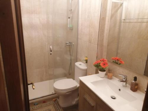 a bathroom with a toilet and a shower and a sink at Casa do Adro-Passadiços do Paiva Arouca in Arouca