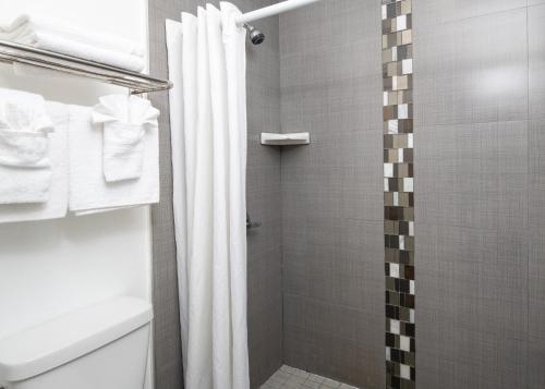 a bathroom with a shower with a shower curtain at Scandia Motel in Carlsbad