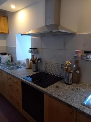 a kitchen counter with a sink and a stove at Guest house Vila Korošec in Bovec