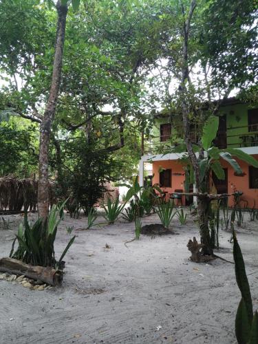 a house in the middle of a forest at Pousada Boca da Mata Moreré in Moreré