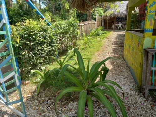 Jardin de l'établissement ECOHOTEL LAS FLORES Econativo