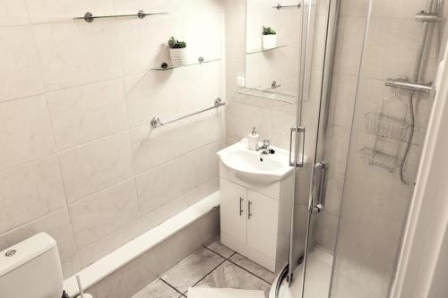 een badkamer met een douche, een wastafel en een toilet bij Harbour Square House in Dublin