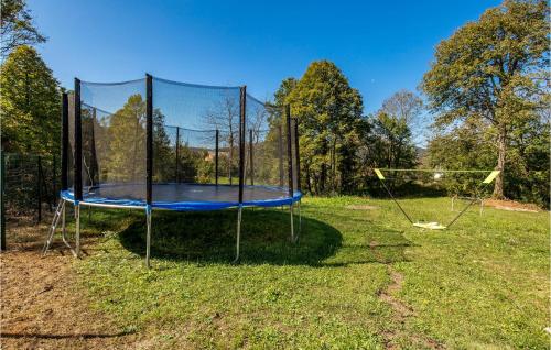 a trampoline in a field with a net at Amazing Home In Bosiljevo With Kitchen in Bosiljevo
