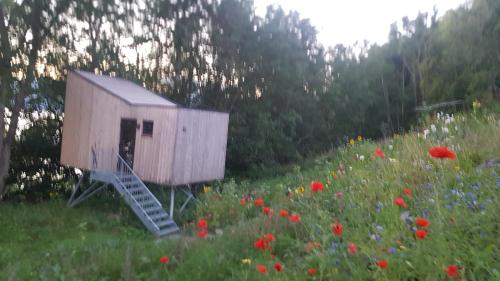 a wooden dog house in a field of flowers at Hardanger Fjordtun TREETOPCABIN, nature, birds, silence, fjord and many nice hikes nearby in Herand
