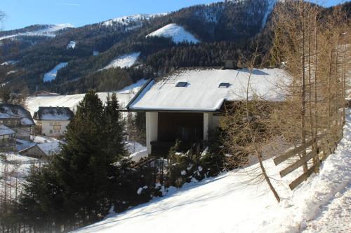 a house on a snow covered hill with trees at Lilly Chalet- Apartments with private sauna, close to ski lifts in Bad Kleinkirchheim