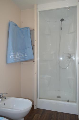 a bathroom with a shower with a sink and a toilet at Club del Sole Vigna sul Mar Family Collection in Lido di Pomposa
