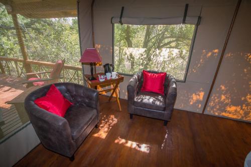 two chairs and a table in a room with a window at Lion Tree Top Lodge in Guernsey Nature Reserve