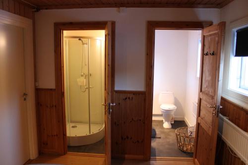 a bathroom with a shower and a toilet in it at Swedish Adventure in Brograngen