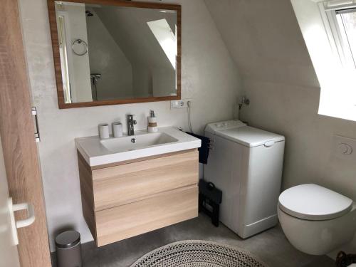 ein Badezimmer mit einem Waschbecken, einem WC und einem Spiegel in der Unterkunft Das Steghaus in Gräfenberg