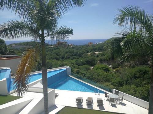 a villa with a swimming pool and a palm tree at LOFT PANORÁMICO CON VISTA AL MAR Y TERRAZA - Punta Gaviota in Tangolunda