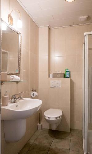 a bathroom with a sink and a toilet and a mirror at Hotel Groote Engel in Emlichheim