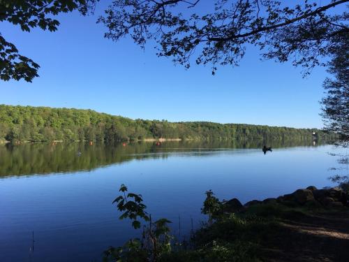 a view of a lake with a boat on it at Triangel in Schmilau