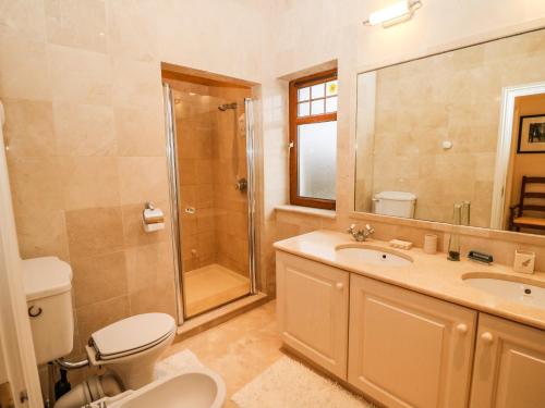 a bathroom with a toilet and a shower and a sink at Inḃear Scéine in Kenmare