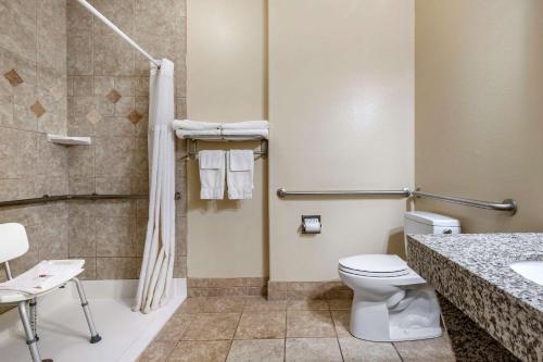 Comfort Inn Hebron-Lowell Area في Dinwiddie: حمام مع مرحاض ومغسلة ودش