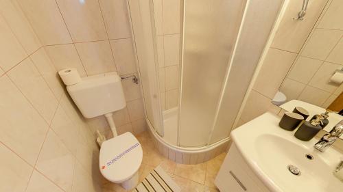 a bathroom with a toilet and a shower and a sink at Apartmani Nena in Povljana