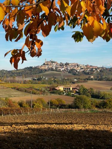 a view of a town from the leaves of a tree at Belcasale in Vignale Monferrato