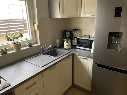 Η κουζίνα ή μικρή κουζίνα στο Apartman Fenjer