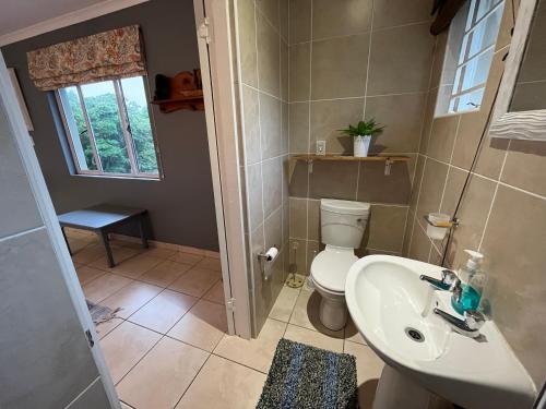 baño con aseo y lavabo y ventana en PIGEONWOOD Forest Cottage en Ballito