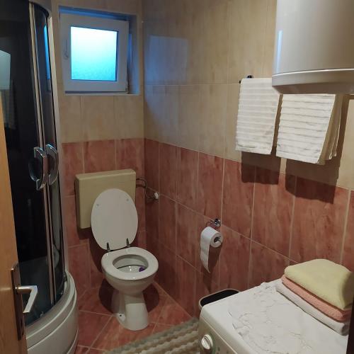 ein Bad mit einem WC und einem Fenster in der Unterkunft Apartman Ivano in Kupres