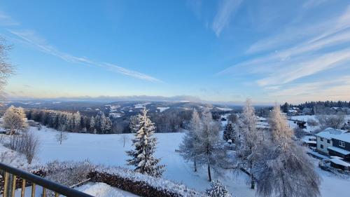 a snow covered yard with trees and houses at Pension Breitenborn in Masserberg