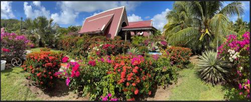 a garden of flowers in front of a building at Les bungalows de la plage in La Trinité