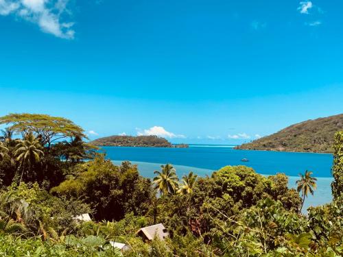 Pension TUPUNA, hébergement à Huahine