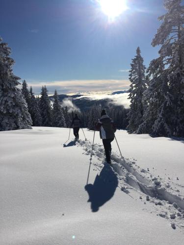 two people cross country skiing in the snow at Apartments im Almhaus Bachler in Gundisch