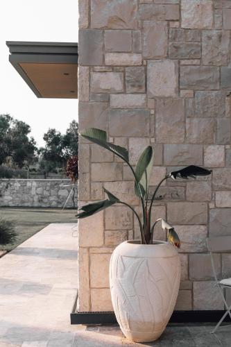 a large white vase sitting next to a brick wall at Teruar Urla in Urla