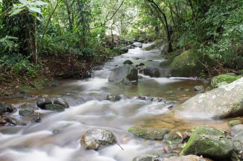 a stream in the jungle with rocks and trees at Pousada Tekoá Indiana in Cachoeiras de Macacu