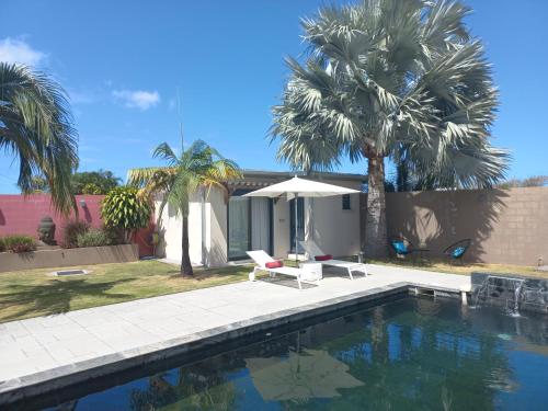 a swimming pool with palm trees and a house at CALME ET SERENITE A LA RIVIERE in Saint-Louis