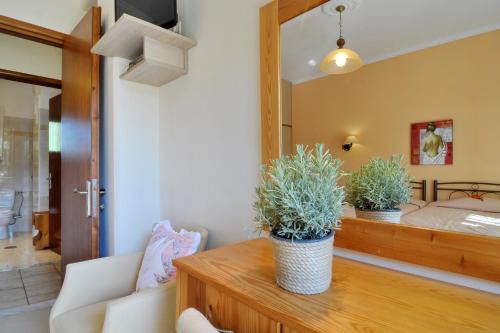 um quarto com uma cama e dois vasos de plantas sobre uma mesa em Marilena Studios And Apartments em Paleokastritsa